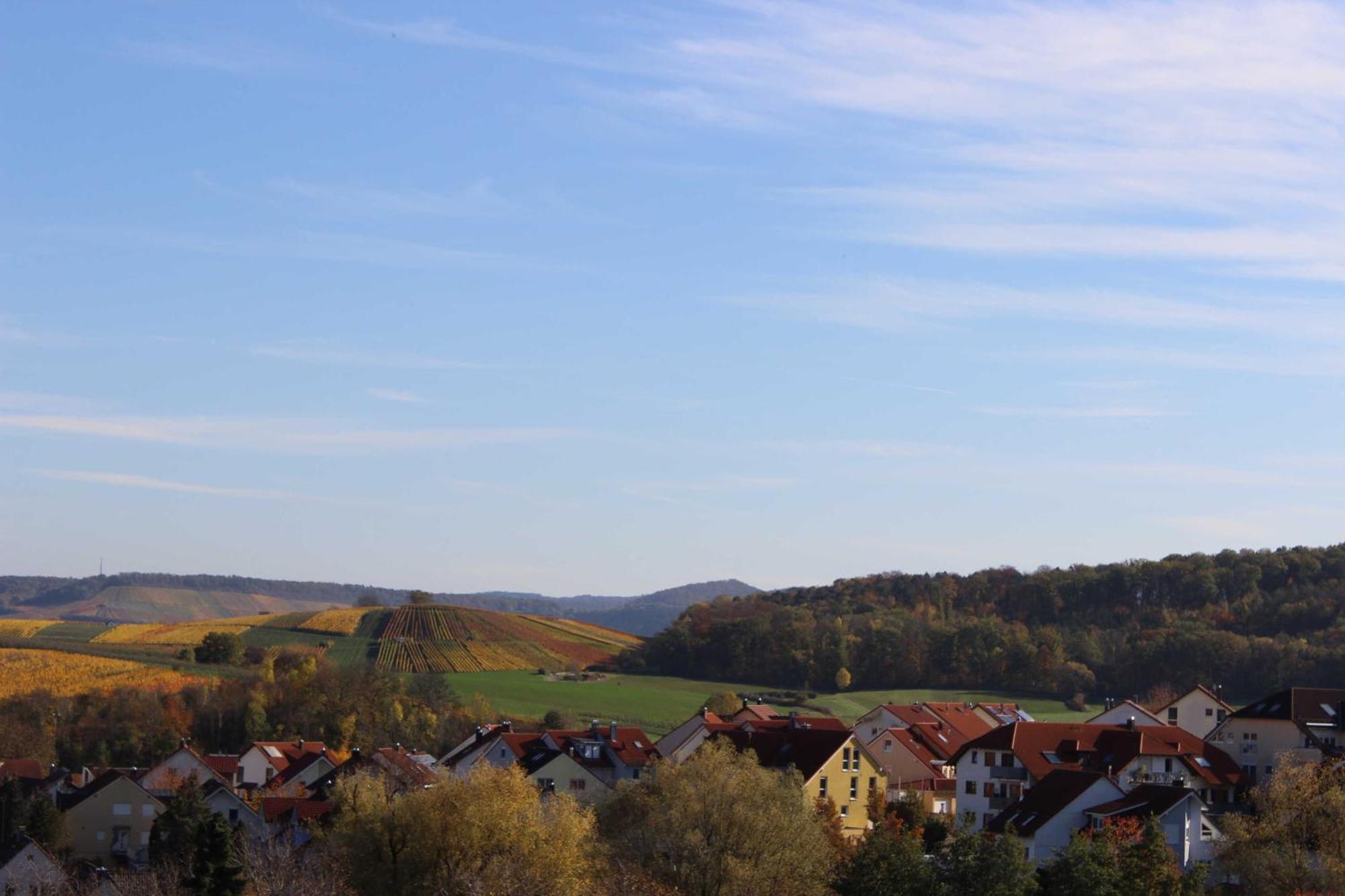 Gaestehaus Zum Wolffenturm Lehrensteinsfeld Pokój zdjęcie