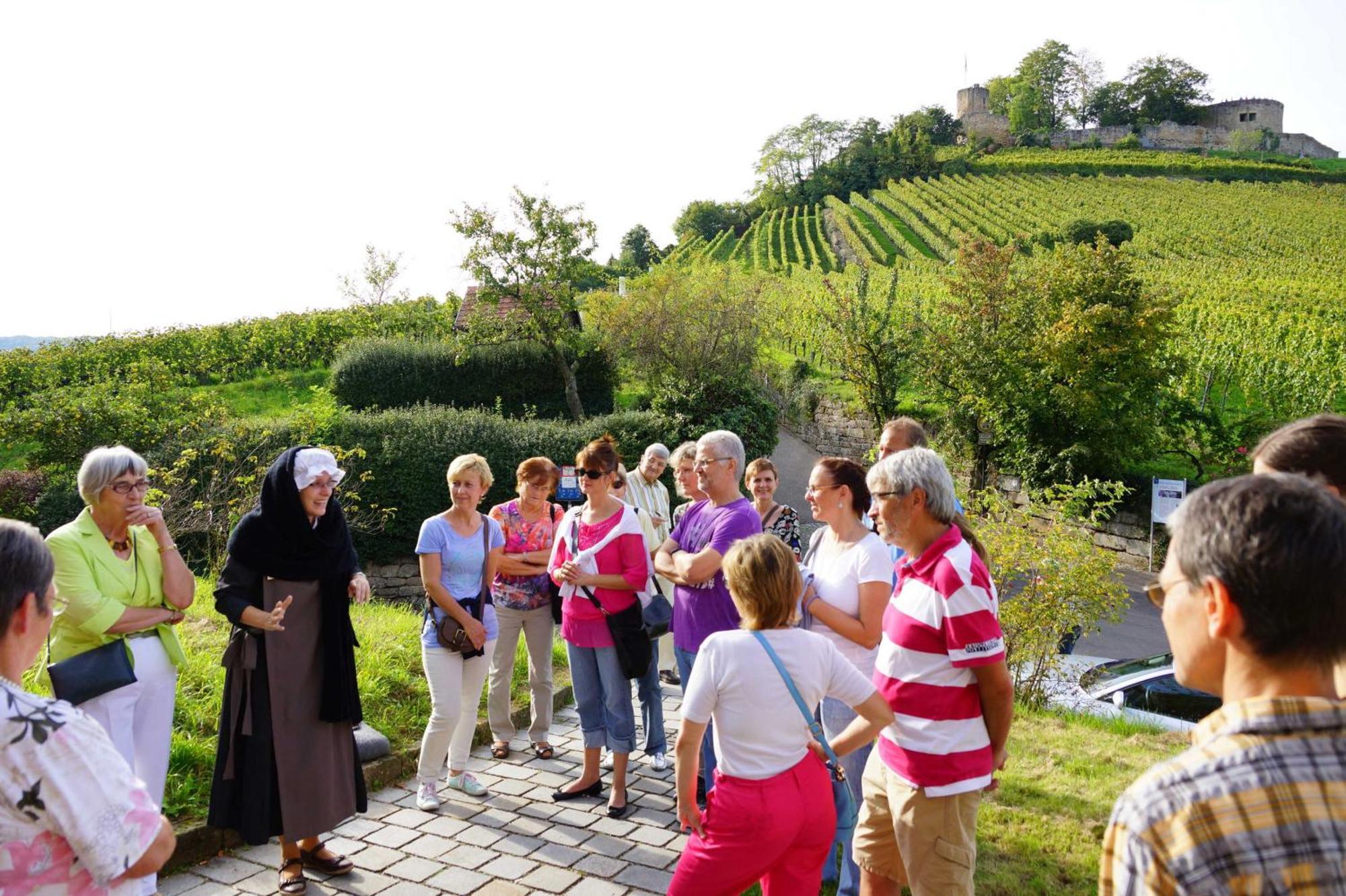 Gaestehaus Zum Wolffenturm Lehrensteinsfeld Zewnętrze zdjęcie