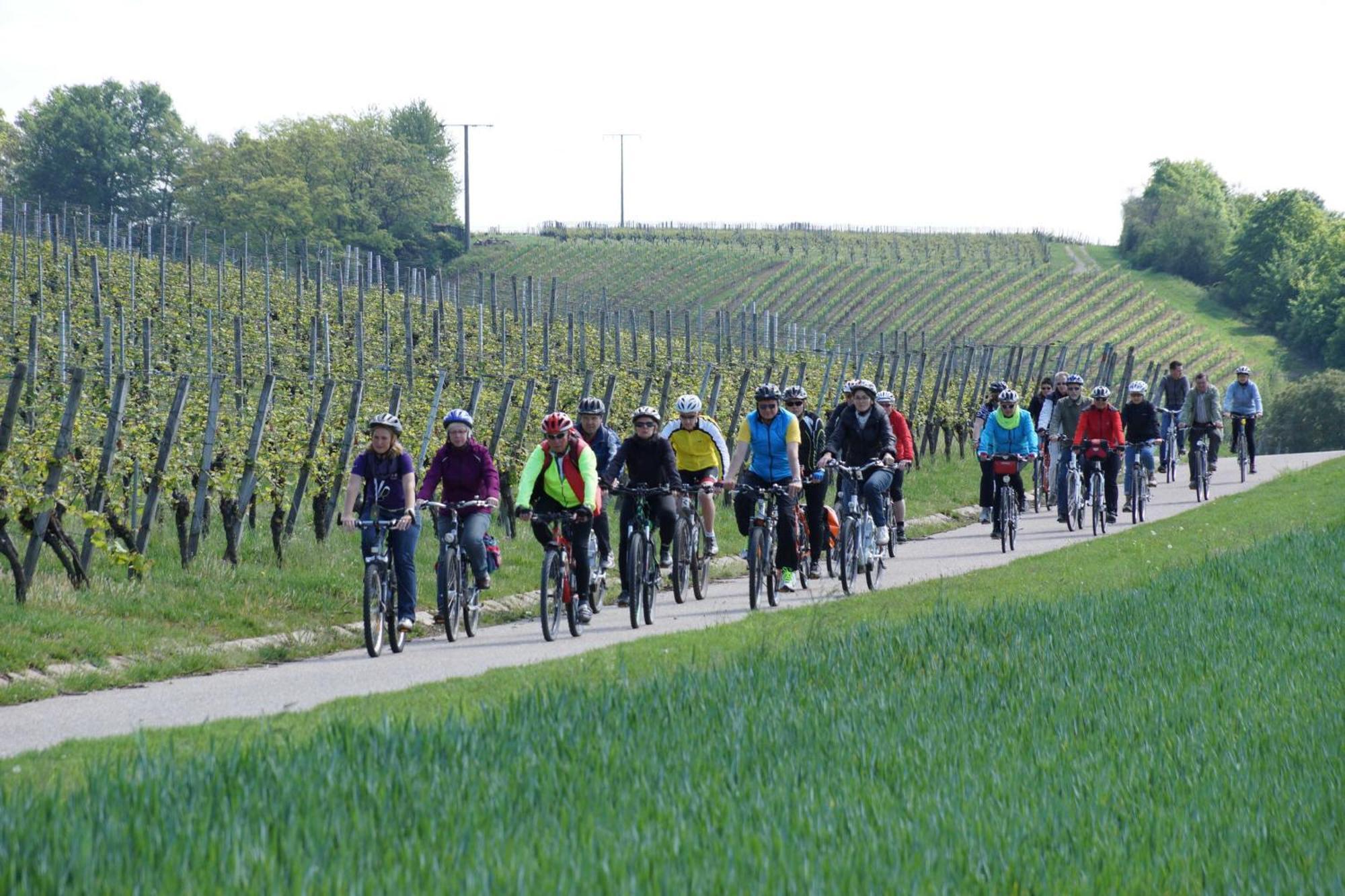 Gaestehaus Zum Wolffenturm Lehrensteinsfeld Zewnętrze zdjęcie