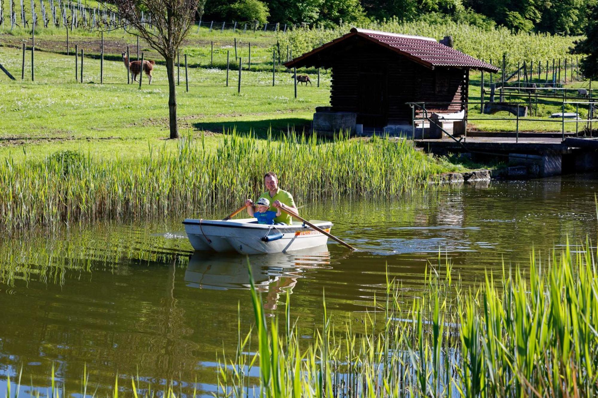 Gaestehaus Zum Wolffenturm Lehrensteinsfeld Zewnętrze zdjęcie